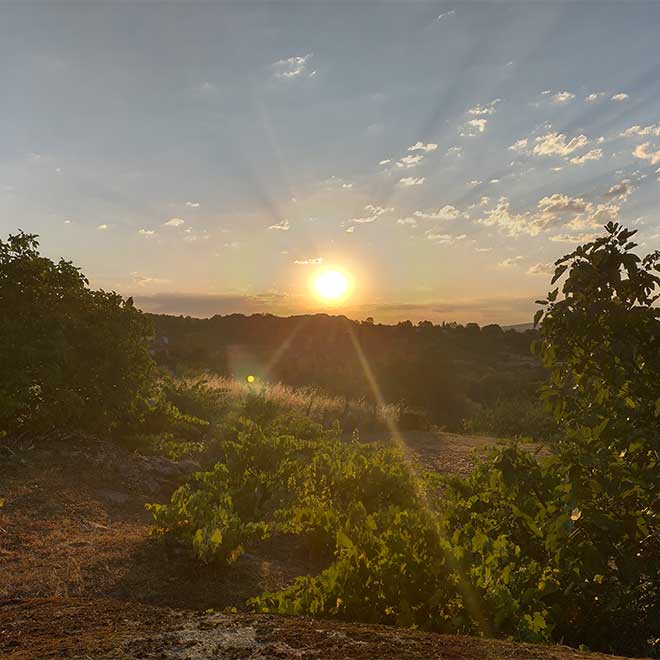 Sonnenaufgang